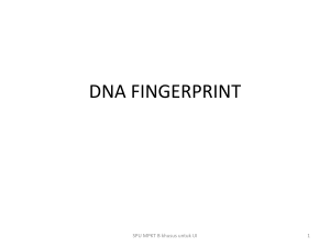 BIOTEKNOLOGI (Finger Print dan DNA) - SCeLE