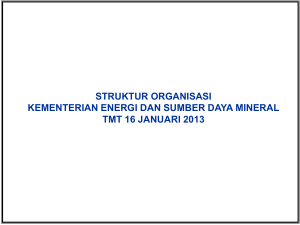 struktur organisasi direktorat jenderal minyak dan gas bumi