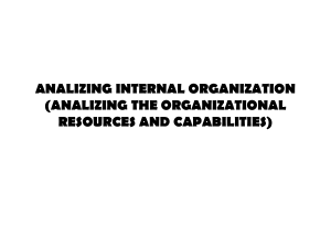 analizing the organizational resources and