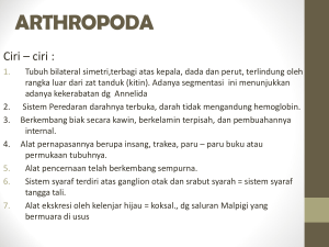BAB 8 ARTHROPODA - Web Site Biologi Yuhayuyu