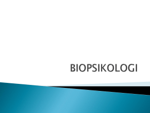 biopsikologi - WordPress.com