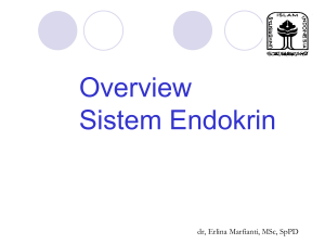 Overview Sistem Endokrin