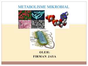 metabolisme mikrobial