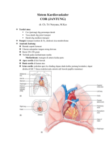 Sistem Kardiovaskuler COR (JANTUNG)