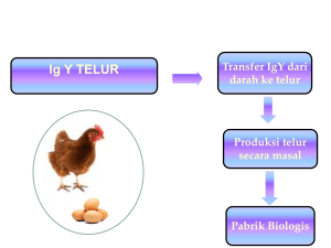 Telur Ayam 3 in one Anti Flu Burung dan Anti Diare