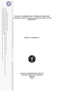 EFIKASI ANTIBIOTIK D-1 TERHADAP BAKTERI Escherichia coli