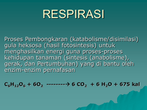 RESPIRASI