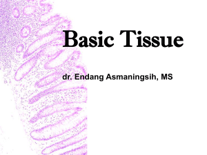 Basic Tissue by dr_EA in Bahasa