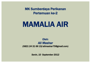 Mamalia Air