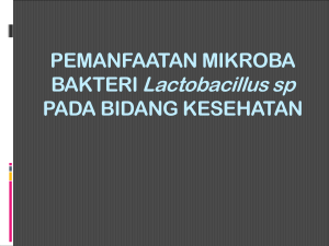 Aplikasi Bakteri Lactobacillus sp. Dibidang Mikrobiologi Industri