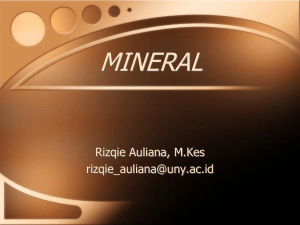 mineral - Staff UNY