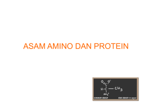 ASAM AMINO DAN PROTEIN