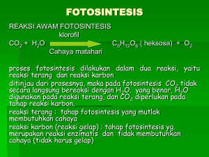 fotosintesis reaksi terang