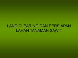 land clearing dan persiapan lahan tanaman sawit