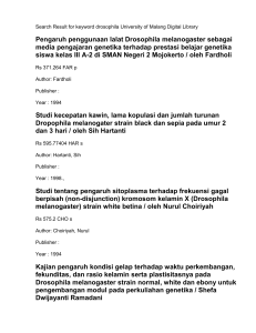 Pengaruh suhu terhadap fenotif Drosophila melanogaster Strain eye