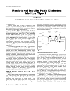 Resistensi Insulin Pd DM Tipe 2