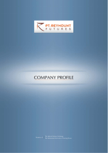 company profile - PT Reymount Futures