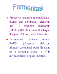 Prokaryot anaerob mengoksidasi NADH dan pembawa elektron lain