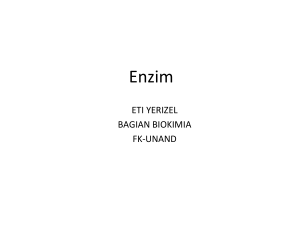 Enzim - Repository Unand