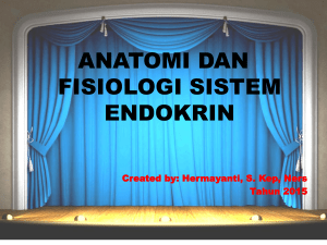 anfis sistem endokrin maya