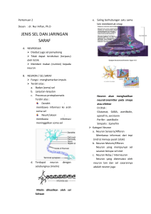 sistem saraf (dr. Arfian)