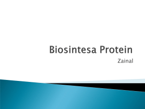 Biosintesa Protein