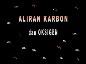 ALIRAN KARBON ALIRAN OKSIGEN Bagaimana