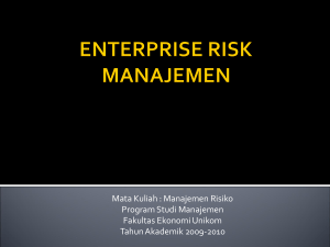 enterprise risk manajemen