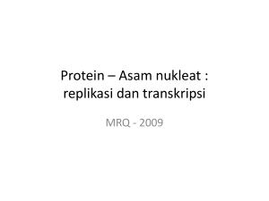 Protein - sintesis dan replikasi, transkripsi dan tranlasi asam nukleat