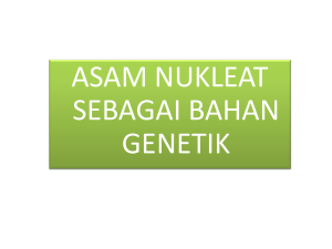 asam nukleat RNA. RNA