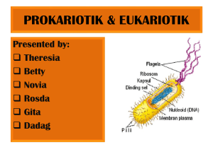 Sel prokariotik dan eukariotik
