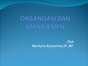 organisasi dan manajemen