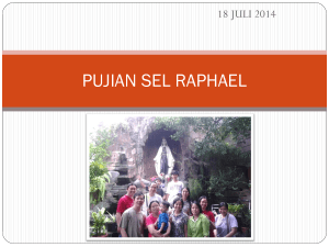 PUJIAN SEL RAPHAEL