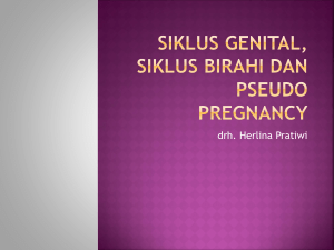 siklus genital, siklus birahi dan pseudo pregnancy