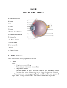 BAB III INDERA PENGLIHATAN A. M. Rectus Superior B. Sclera C