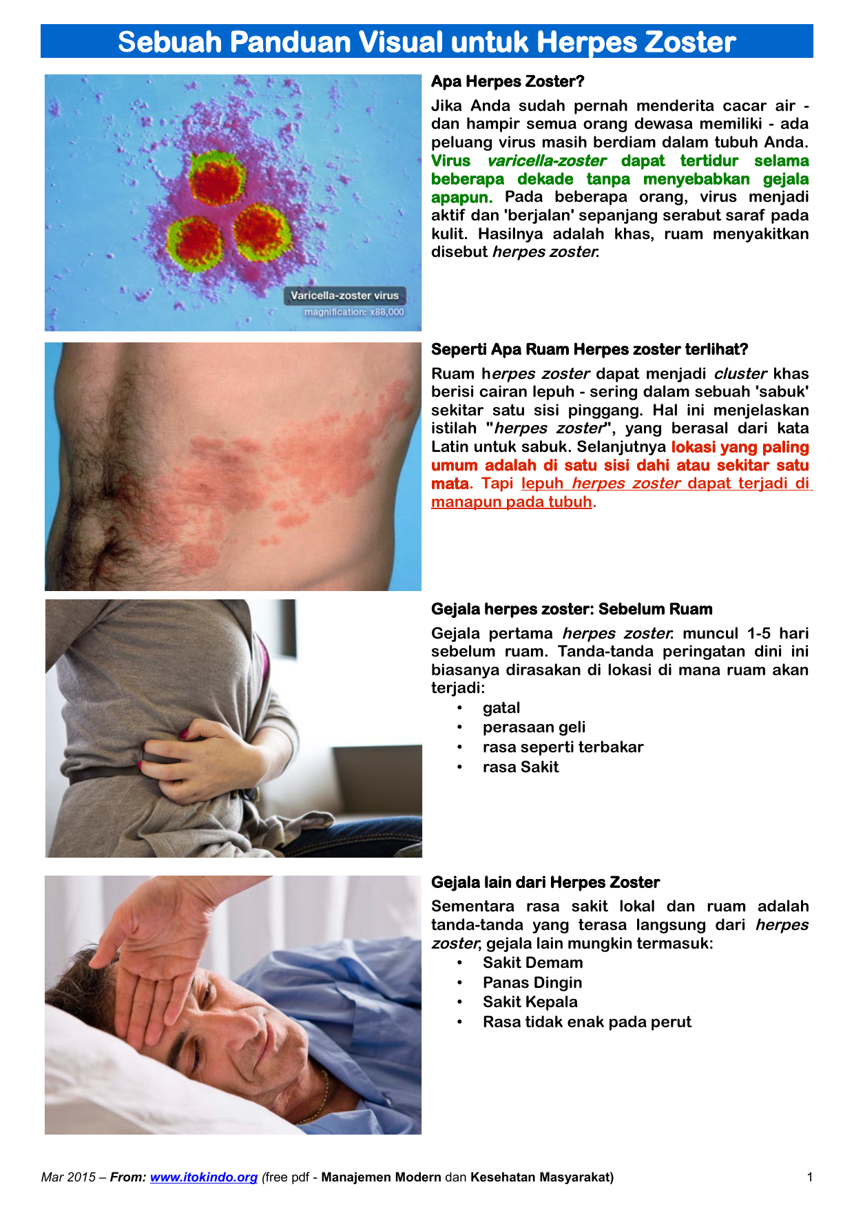 Virus varicella zoster adalah virus yang menyebabkan penyakit