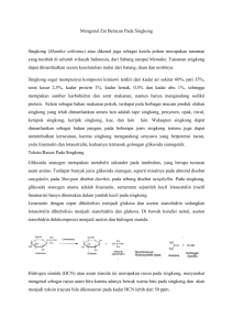 Mengenal Zat Beracun Pada Singkong Singkong