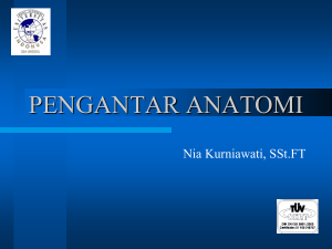 Anatomi Histologi Pertemuan 1