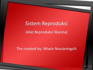 Sistem Reproduksi(Alat Reproduksi Wanita)