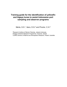 Training guide for the identification of yellowfin and