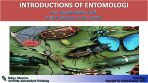 Kuliah 1 Entomologi