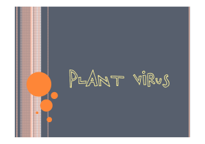 plant virus