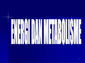 power point energi_dan_metabolisme (katabolisme)