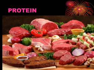 protein - hellosehat