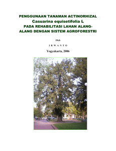 Penggunaan tanaman actinorhizal Casuarina equisetifolia L pada