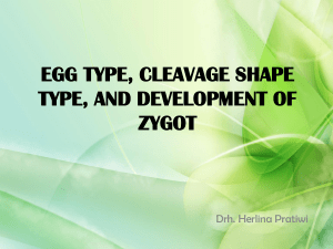 egg type, cleavage shape type, and development of zygot