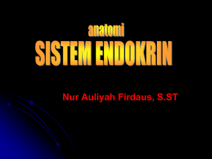 7. endokrin - Nur Auliyah Firdaus, S.ST