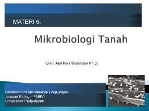 Materi 6. NR. Mikrobiologi Tanah