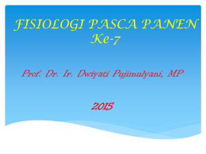 FISIOLOGI PASCA PANEN Ke-6