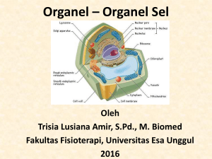 Pertemuan 4. Organel-Organel Sel